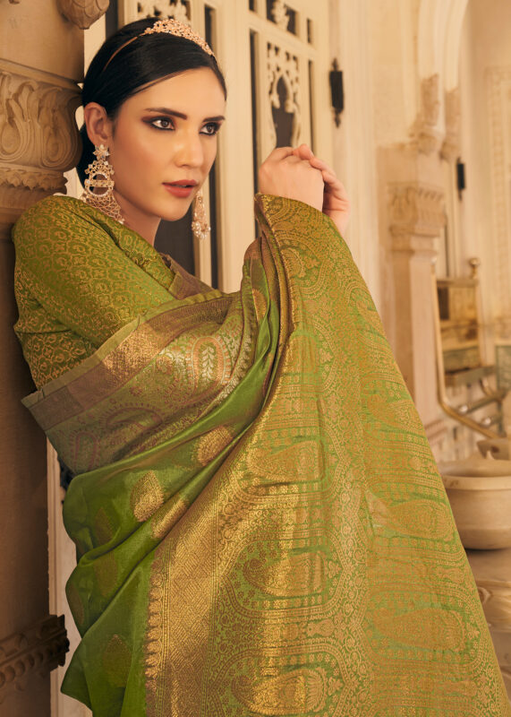 Sheen Green Organza Banarasi Saree