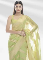 Lime Green Organza Silk Saree