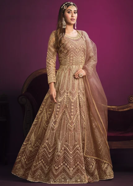 Brown Heavy Embroidery Anarkali